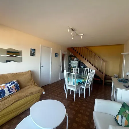 Διαμέρισμα Avec Terrasse Panoramique, Acceptant Les Animaux, Parking - Fr-1-487-281