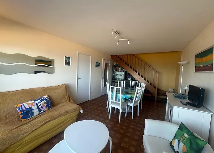 Apartament Avec Terrasse Panoramique, Acceptant Les Animaux, Parking - Fr-1-487-281